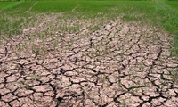 Drought hits central provinces in Vietnam