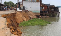 New progress in preventing erosion in Mekong River Delta