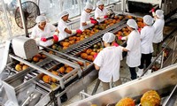 Enhancing Vietnamese agro-products to take advantage of EVFTA