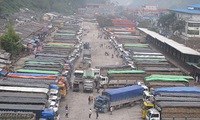 Agricultural products stuck at Tan Thanh border gate