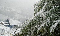 Extreme cold negatively affects mountainous areas