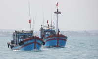 Fishermen in Quang Ngai enjoy bumper shrimp catch