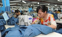 Action needed to return Vietnam to path of high growth