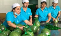 New opportunities for Vietnamese fruits and vegetables