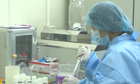 Vietnam reports two more Coronavirus infection cases