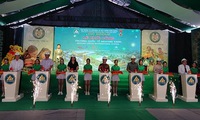 Work starts on Green Mekong international school in Kien Giang province