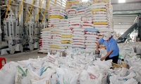 Additional 38,000 tonnes of rice to be exported