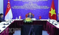 Vietnam, Singapore discuss enhancing cyber security ties