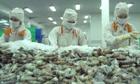 Vietnam’s shrimp export rises slightly in 9 months