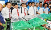 Vietnam aims at US$4 billion of shrimp export revenue in 2021