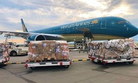 190,000 COVID-19 quick test kits arrive in Vietnam from Germany