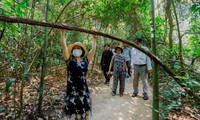 HCMC organizes inter-provincial tours