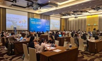 Networking events held to enhance Vietnam - RoK business partnerships