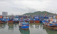 Khanh Hoa asked to hasten moves to address IUU fishing