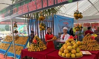 Hoa Binh promotes image of Cao Phong oranges