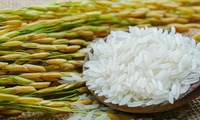 3 provinces to receive rice support for Lunar New Year