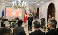Lunar New Year get-togethers held for overseas Vietnamese