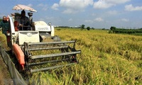 Vietnam shares experience in poverty reduction, crisis settlement at UN CSocD session