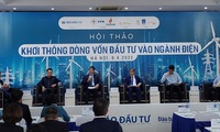 Vietnam needs 141 billion USD to invest in electricity industry by 2030