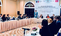 Hai Phong creates favourable conditions for French businesses