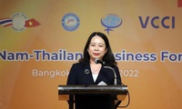 Vietnam, Thailand strengthen business connectivity