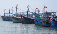 Vietnam makes continuous efforts to fight IUU fishing
