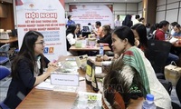 Vietnam, Indonesia have potential to boost economic partnership: Experts
