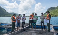 Ba Ria-Vung Tau working to remove EC’s yellow card on illegal fishing