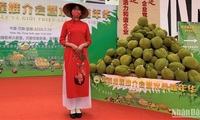 Vietnamese fruits introduced at festival in China’s Tianjin city