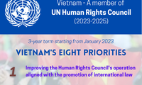 Vietnam's 8 priorities during tenure as UN Human Rights Council member