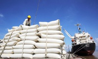 Vietnam exports more than 1.85 million tonnes of rice in Q1