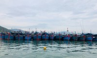 EC delegation recognises Vietnam's anti-IUU fishing efforts: official