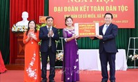 Bac Ninh: Co Mieu villagers celebrate great national solidarity festival
