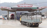 Greater efforts needed to open up new opportunities in Vietnam-China trade