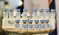Vietnamese companies ready to export African swine fever vaccines