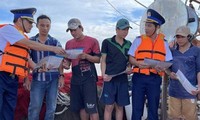 Vietnam works with EC on efforts to combat IUU fishing