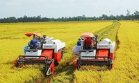 Export results in 2023 provide stepping stone for rice sector next year