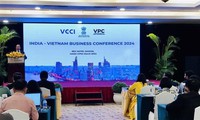 Conference promotes business connectivity between Vietnam, India