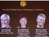 Nobel Y học 2014 thuộc về nghiên cứu não bộ