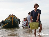 Cuộc sống thanh bình của ngư dân làng chài Phước Hải
