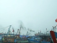 Đà Nẵng: Âu thuyền Thọ Quang quá tải vì tàu thuyền trú bão số 3