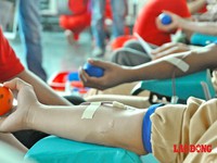 Hành trình đỏ 2015: Kết nối dòng máu Việt từ đất mũi Cà Mau