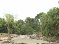 Thủ đoạn chia lô, bán đất rừng phòng hộ Phú Quốc trái phép ngày càng tinh vi