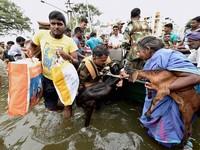 Mưa lớn liên tục gây ngập lụt diện rộng ở miền Nam Ấn Độ