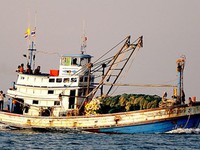 Cà Mau: Xử lý 3 tàu cá Thái Lan đánh bắt  trái phép
