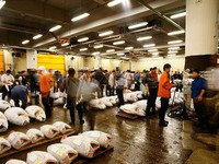 Tsukiji - Chợ cá tươi lớn nhất thế giới tại Nhật Bản