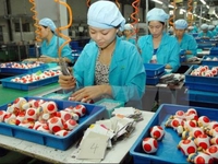 VN top productivity growth in ASEAN