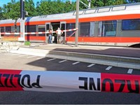 Thụy Sĩ: Tấn công bằng dao trên tàu hỏa,  6 người bị thương