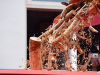 Singapore tiêu hủy gần 8 tấn ngà voi