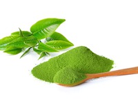 Khám phá quy trình sản xuất bột trà xanh matcha tại Việt Nam